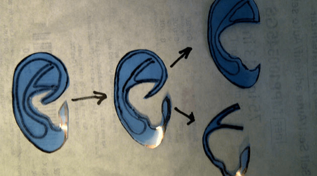 ear tracings