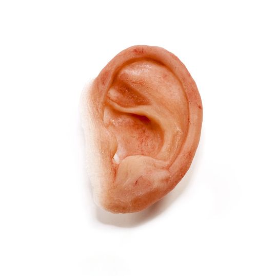 Silicone prosthetic ear